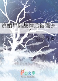 �ӻ��Ǽ�ս���ǿ����
