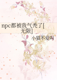 npcͺ[]